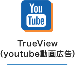 TrueView （youtube動画広告） 
