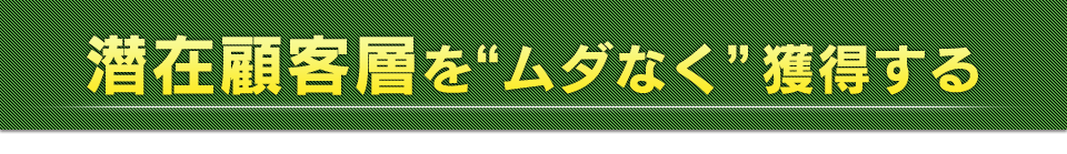 潜在顧客層を“ムダなく”獲得する