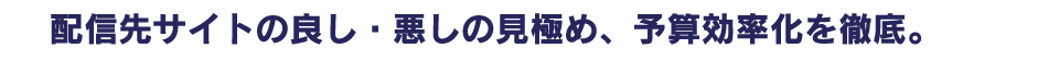 配信先サイトの良し・悪しの見極め、予算効率化を徹底。